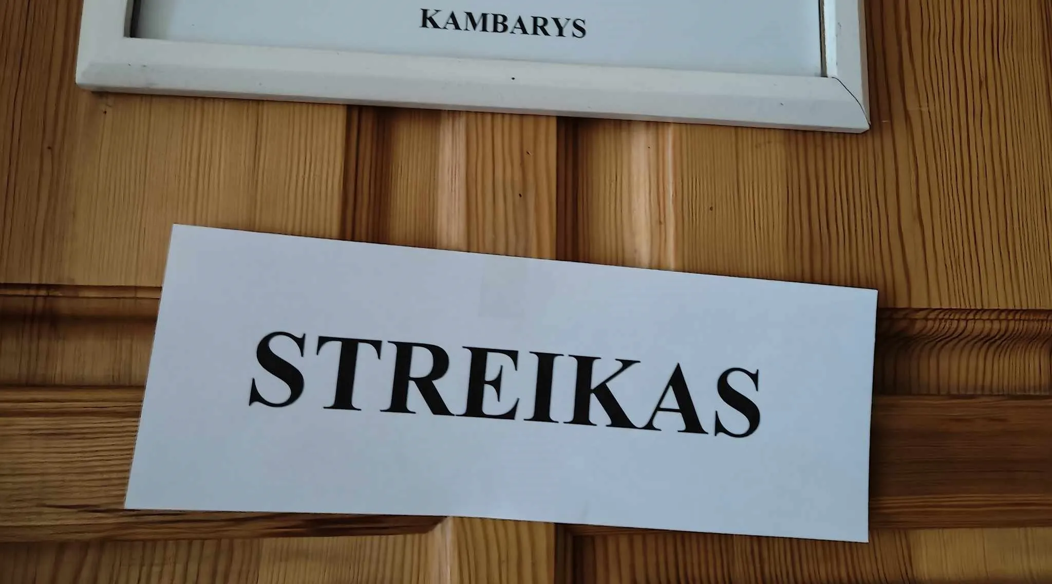 str377108733 844382716944392 3055966681468726095 n