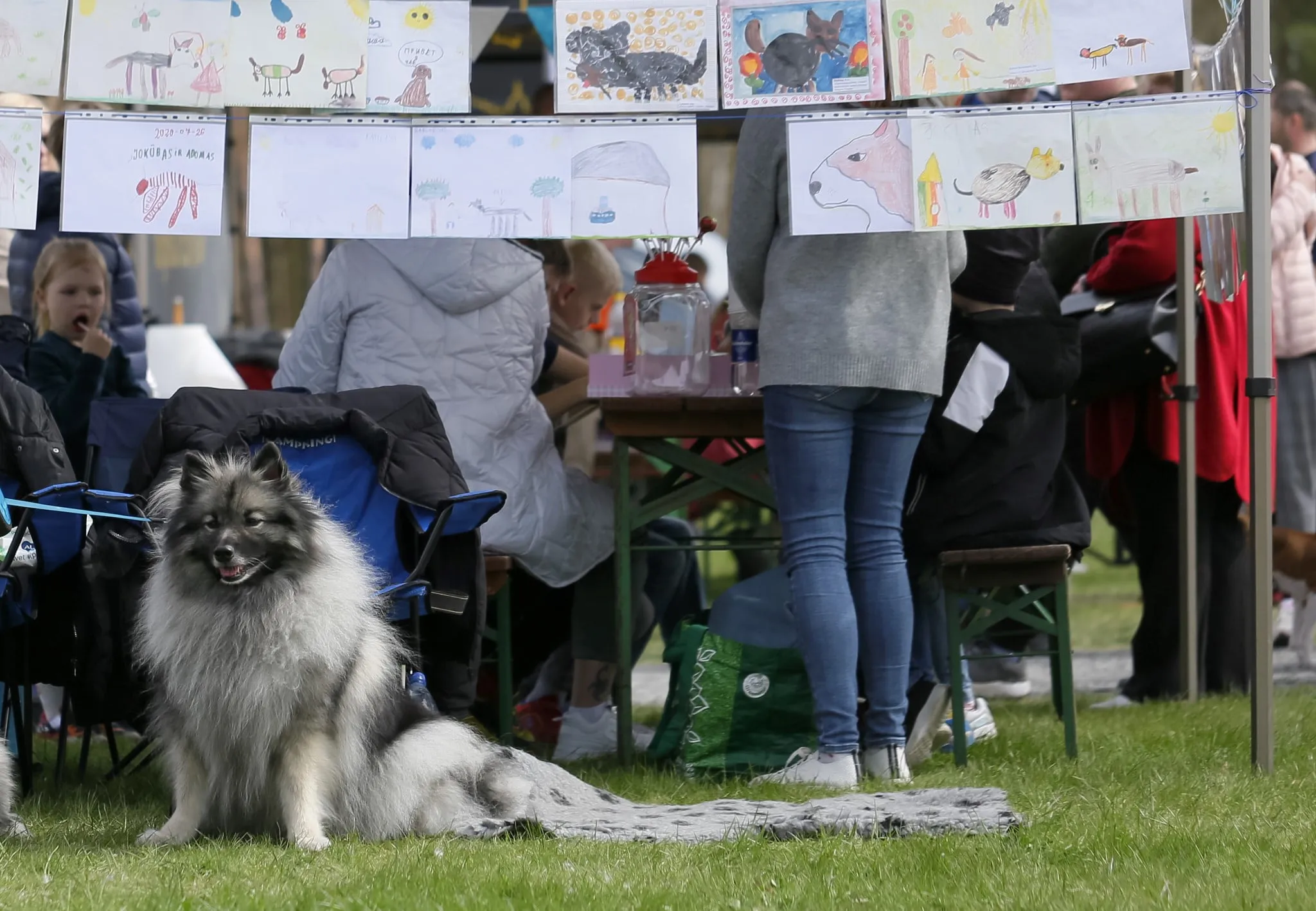 sun337718423 623760685837193 1755438952649217791 ns