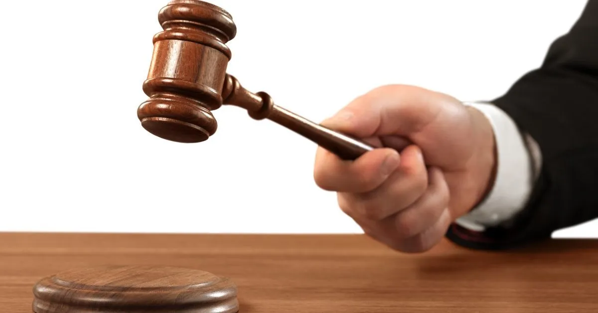 teismuntitled design 37