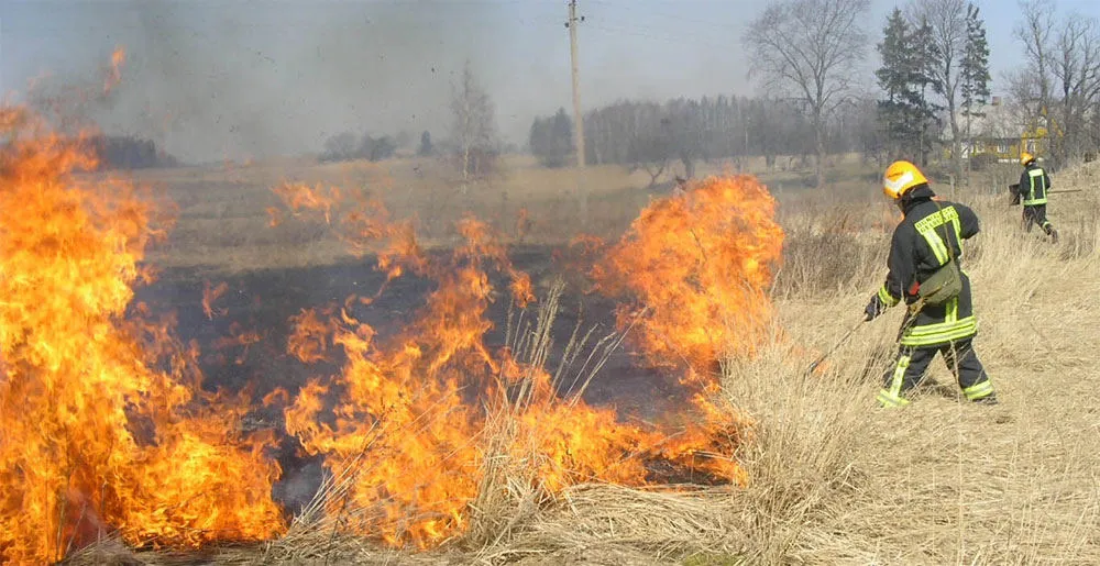 ugniagesiai gesina degancia zole 4f85747001df5