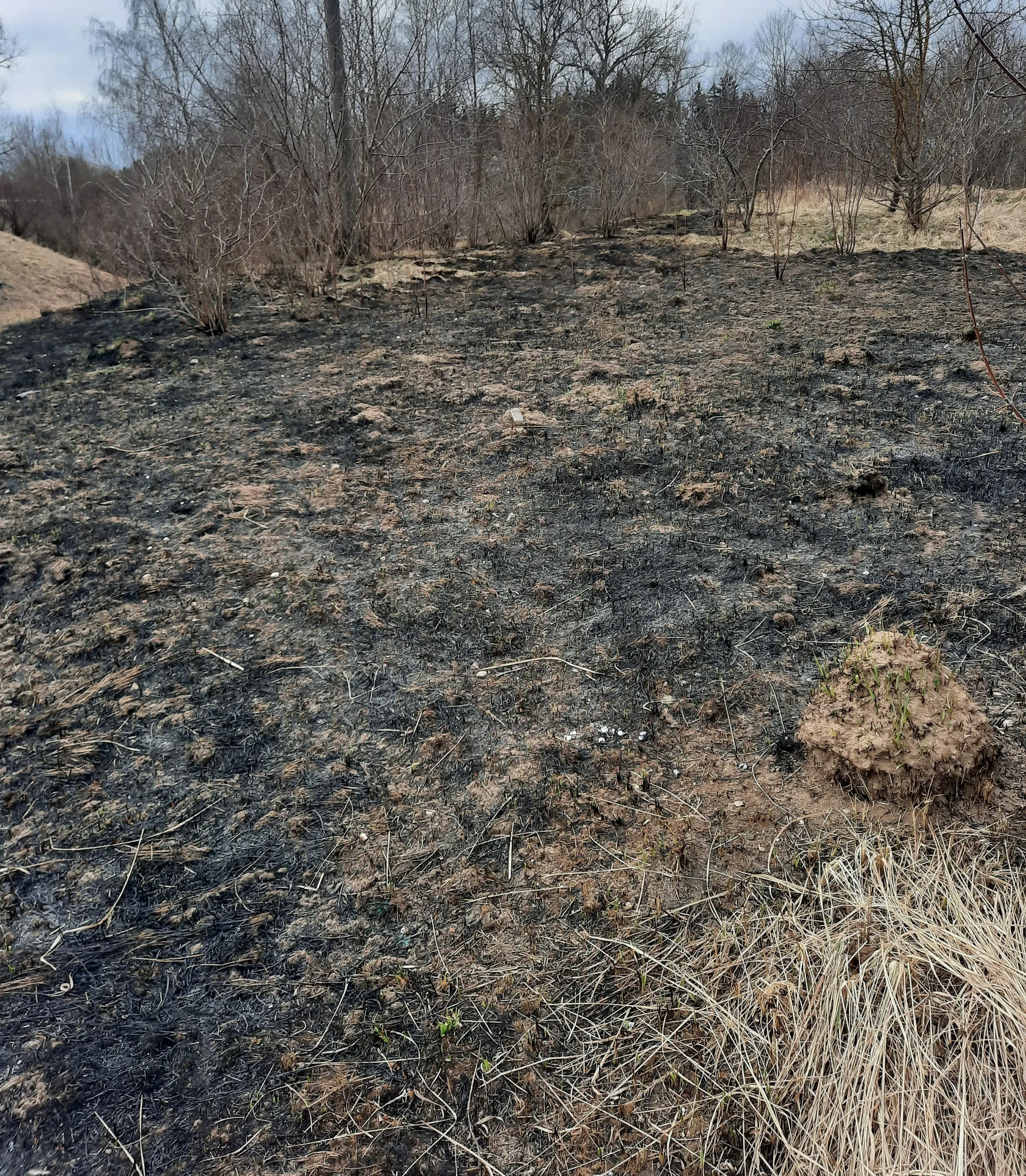 ugnies isdeginti plotai