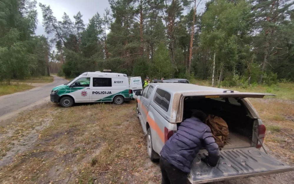 uogaunele2893 e17e75dea6ef09c01475ee2304ee0373ss