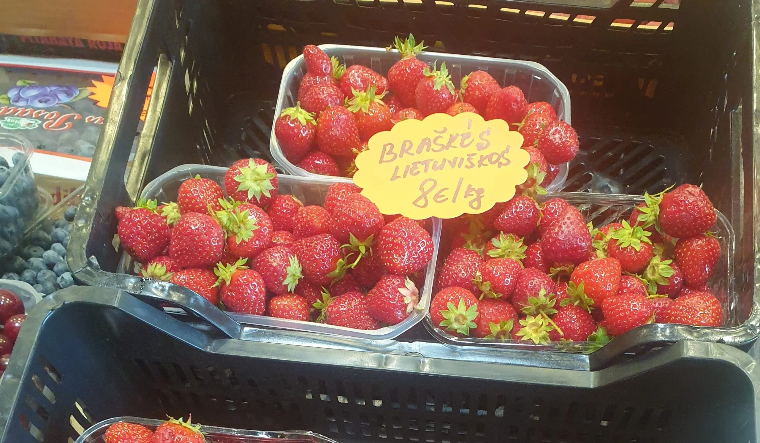 uogu kainu reidas vilnius 2024 06 07 kas pigiausias kas brangiausias scaled jpg