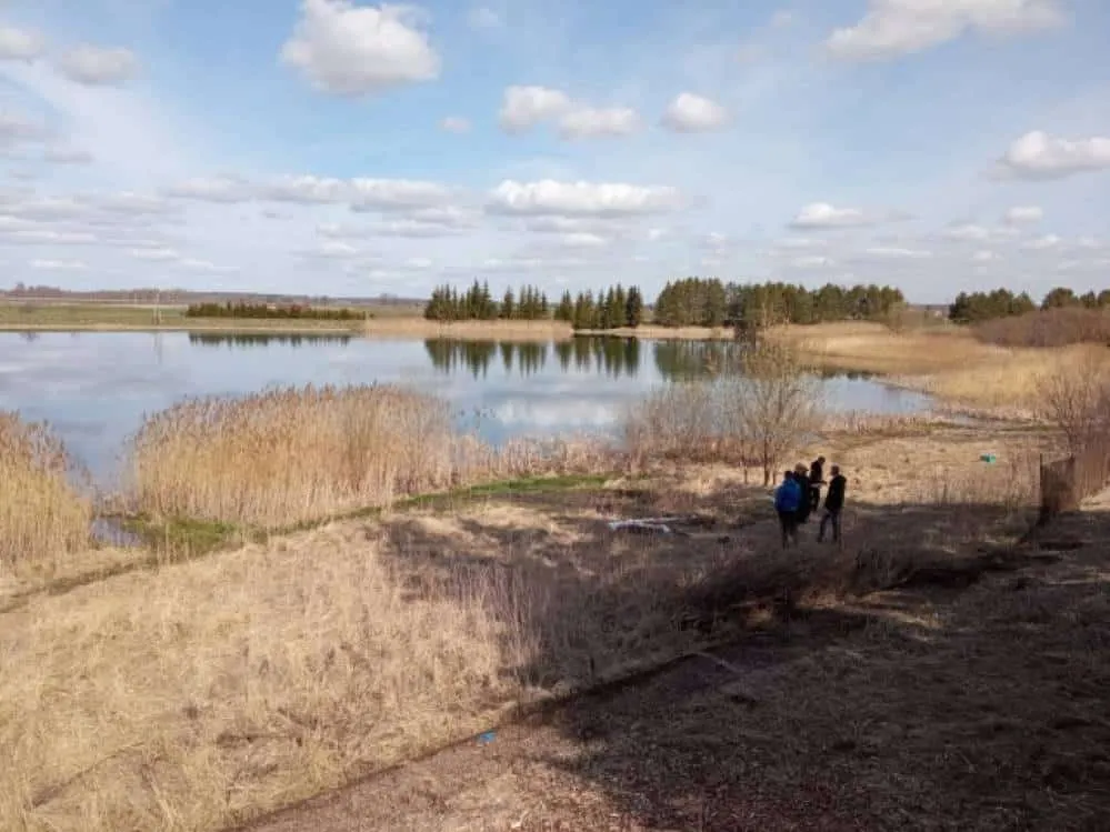 veiv3029 6c893f740b7552efe4de905ce6628222s