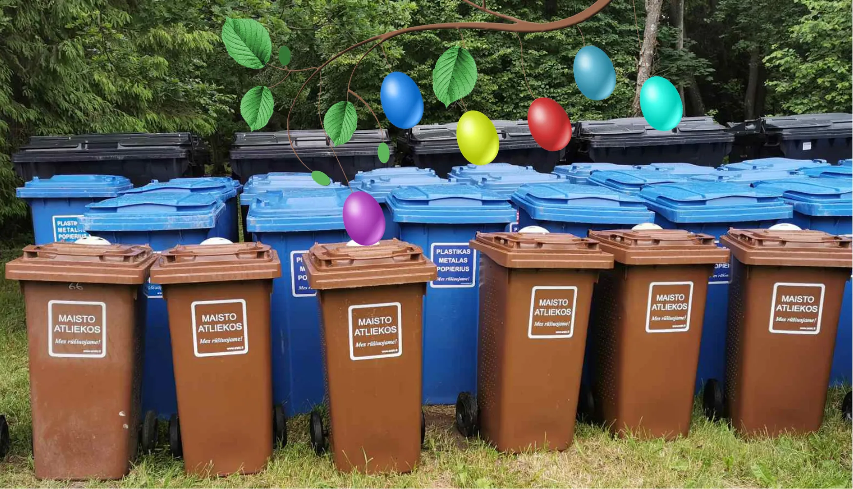 velykos konteineriai