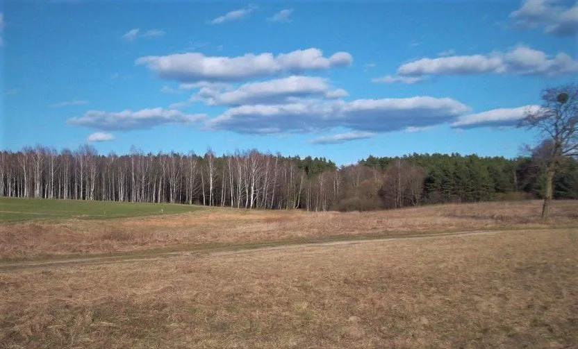 versdruskininku sav versiu k leipalingio pl