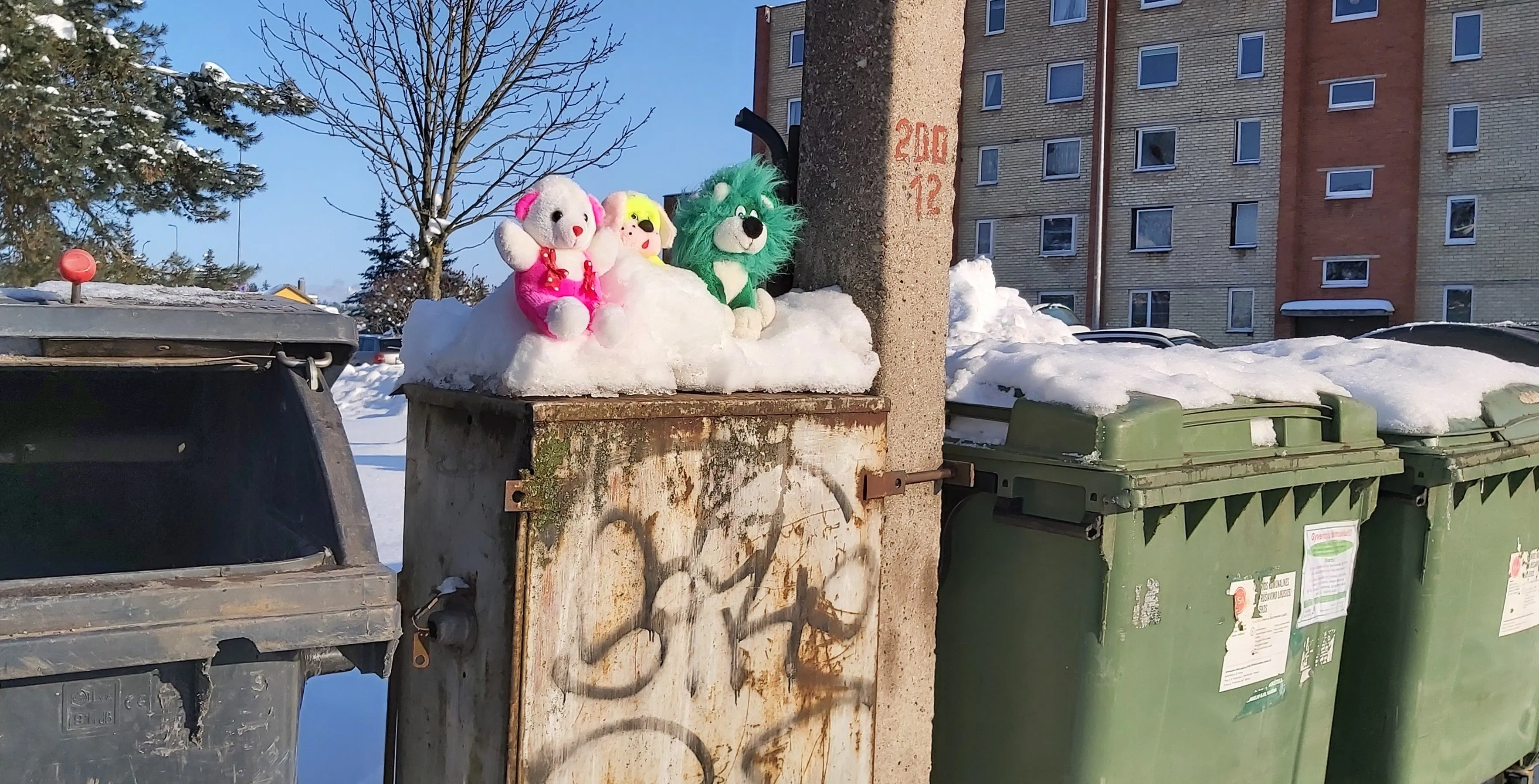 zaislai ant konteinerio 1