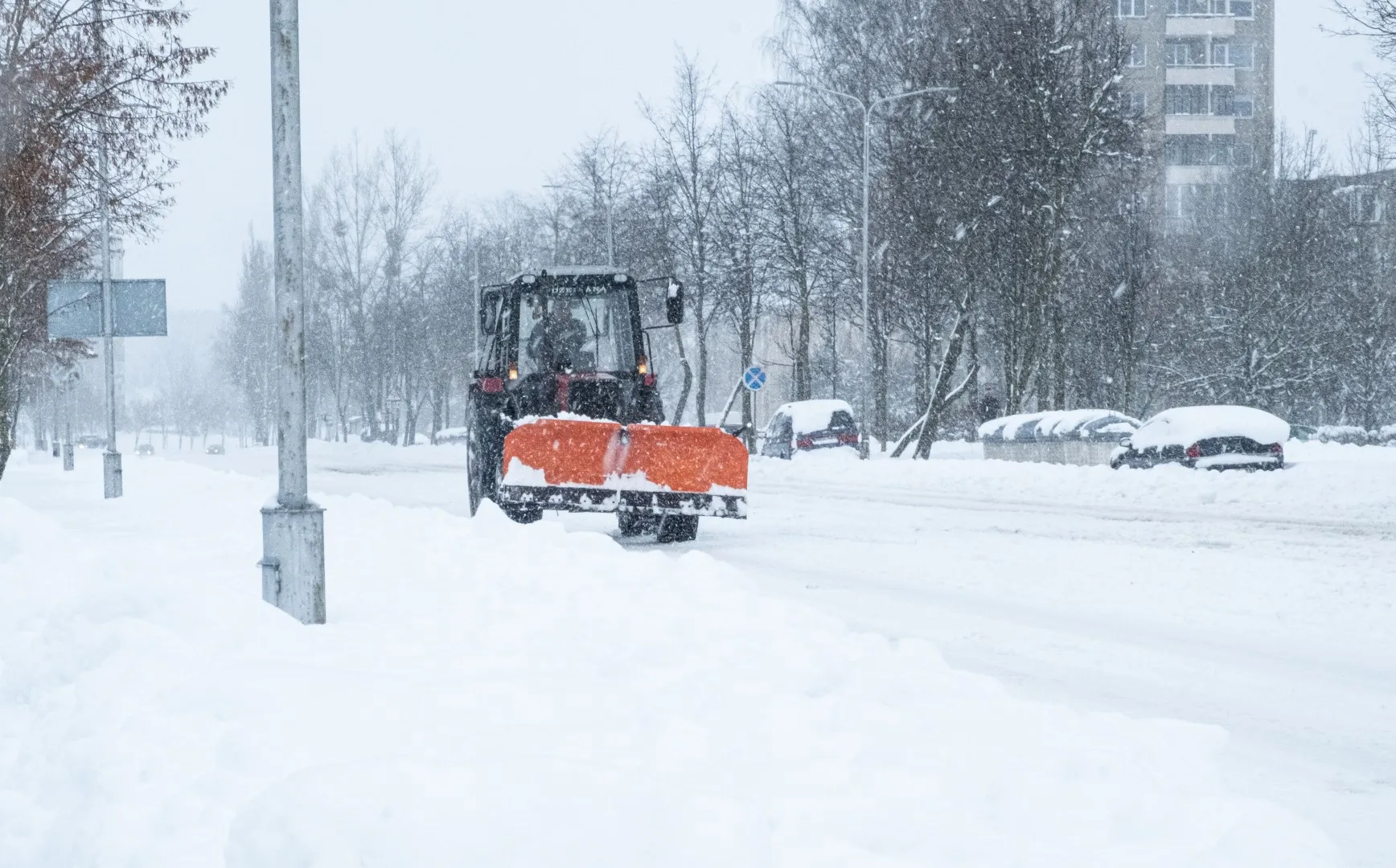 ziema ams nuotr 3 large