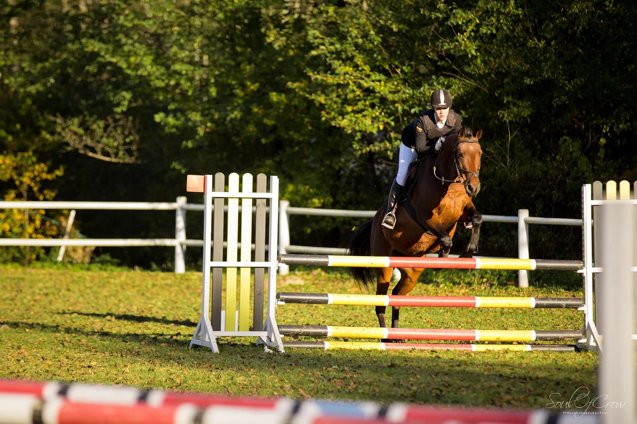 zirg244839661 307847327814041 936708601704511881 n