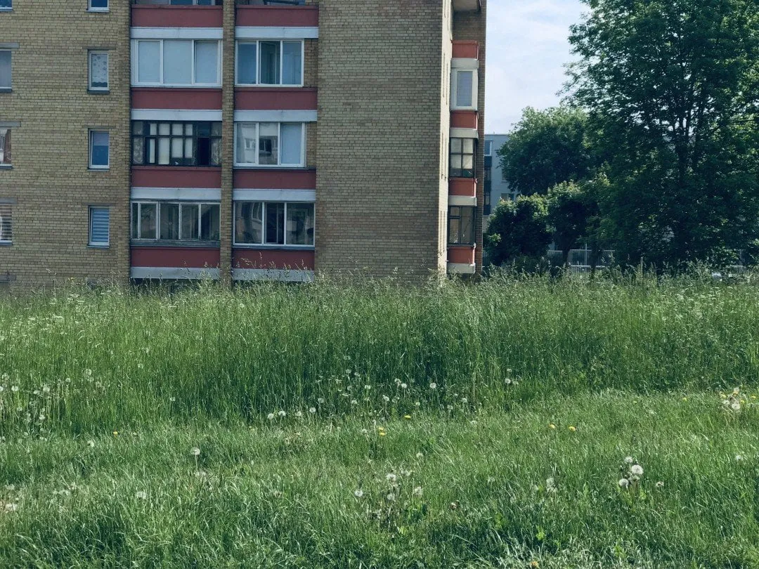 zole tvarkau alytu nuotrauka