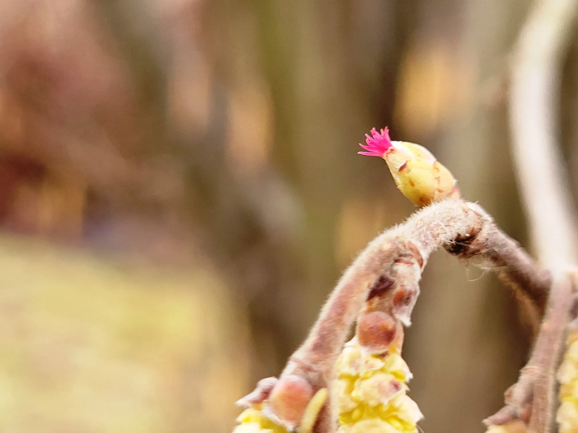 zuv274275908 312999484189434 7853694235089180834 n