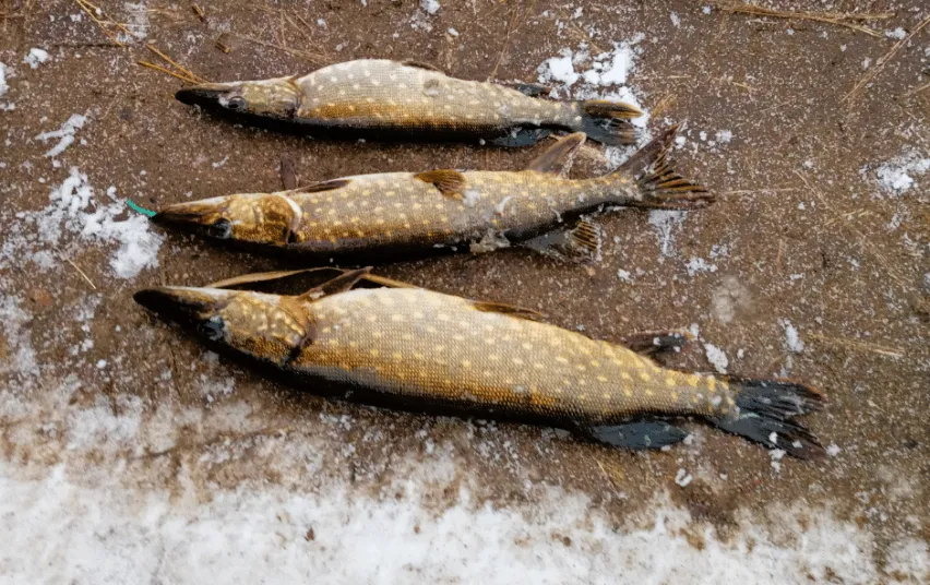 zuv3120 4c7f1903a57db9ebac762211386c48df