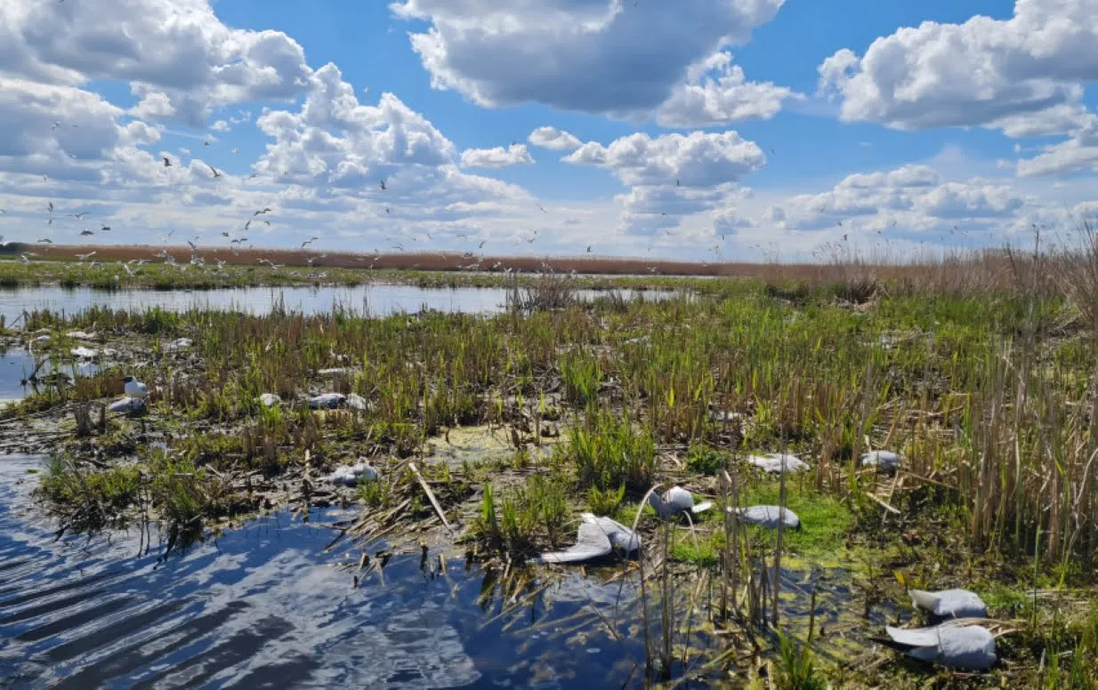 zuvikir1620 f10057fb9865bfe87cd08cb275927cb6a