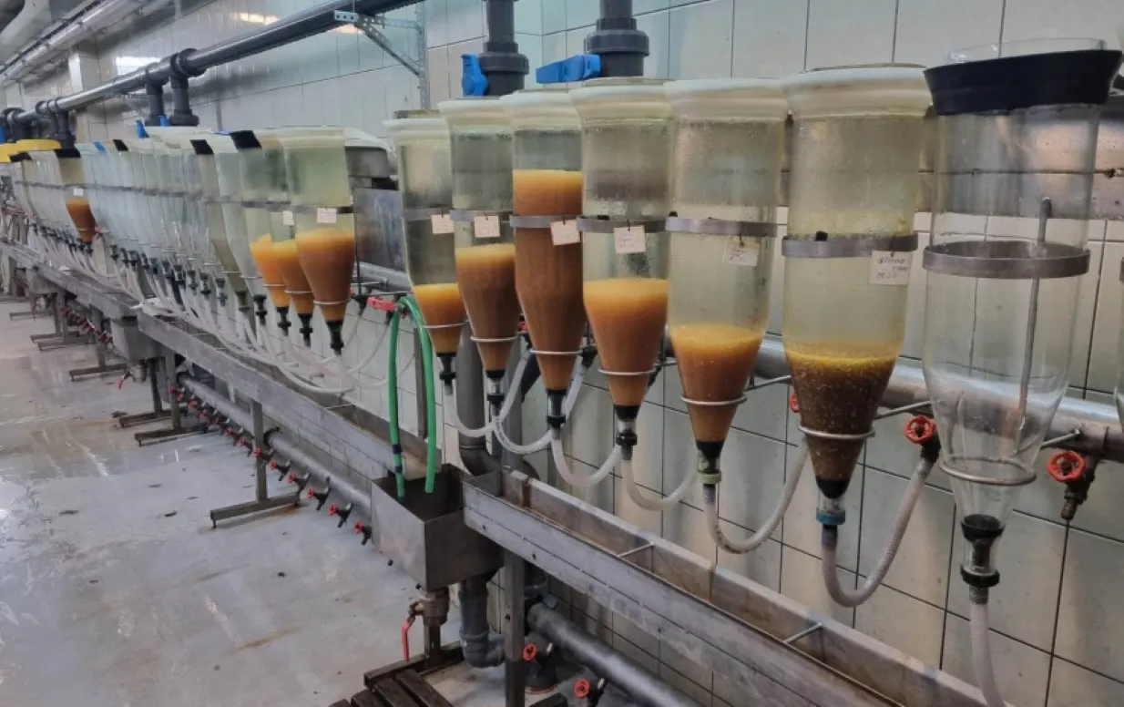 zuvsyk3190 a0d1e6aa2124d0e44046d22c2bc894d3s