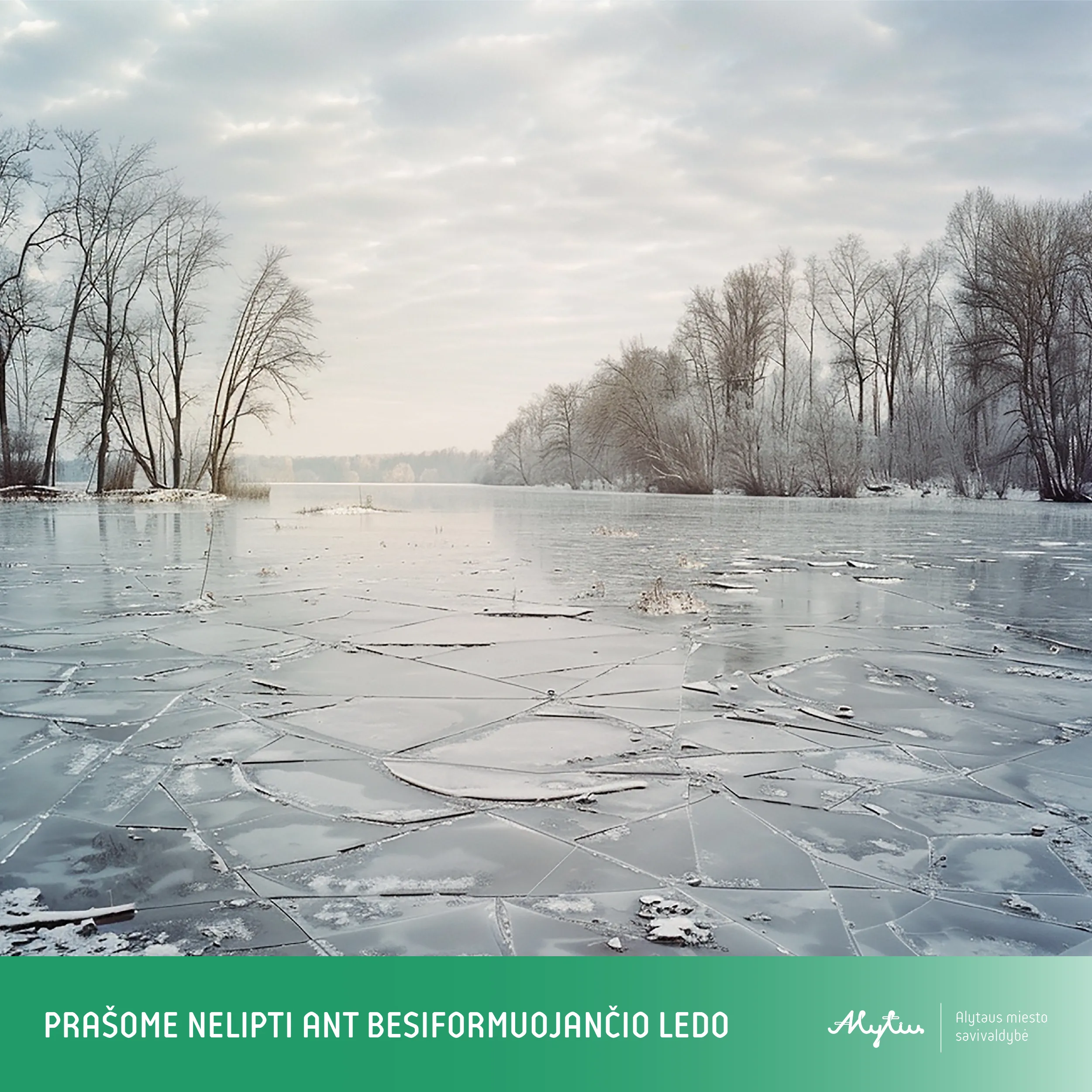 ledas fb maketas su zalia juosta 04