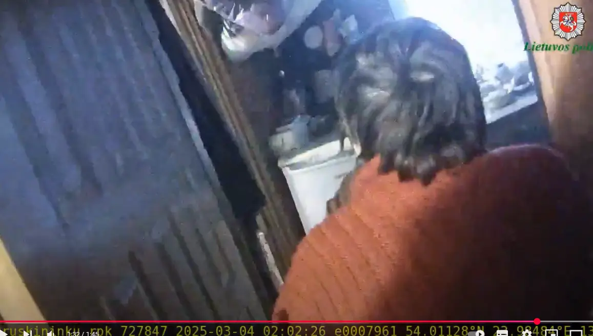 screenshot 13