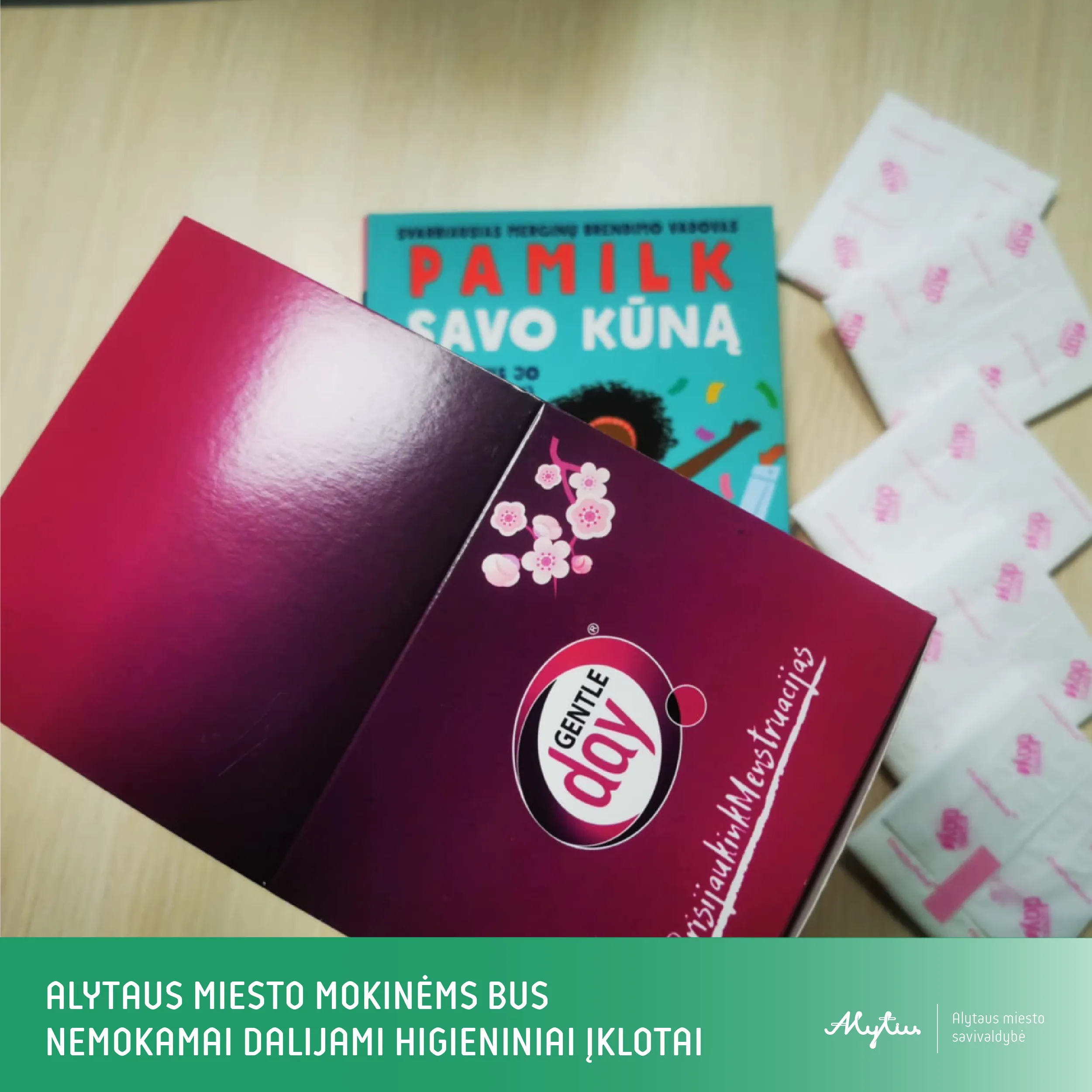 fb maketas su zalia juosta 03