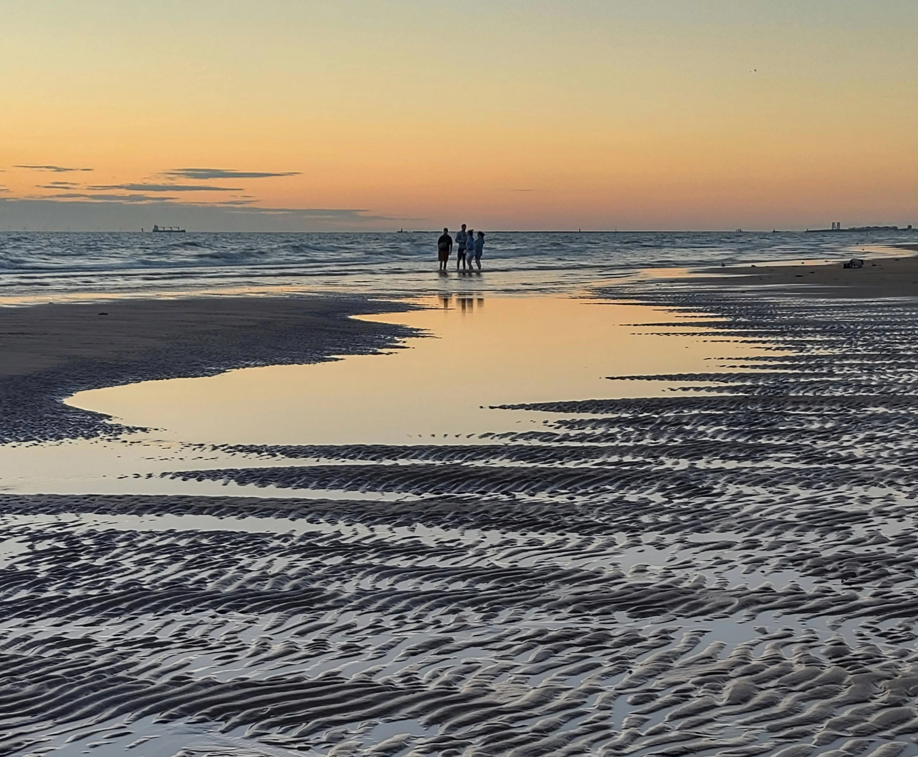 pexels carina van vlerken 691472 12698508