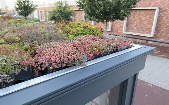 10730 fullimage groendak web