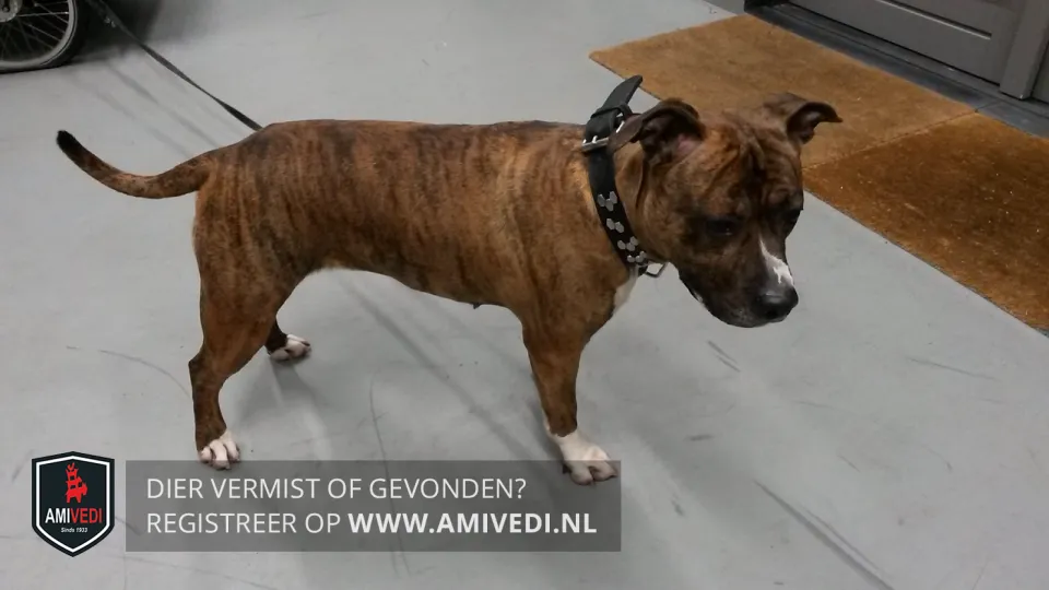 1189292 kfyscw1w xlwm