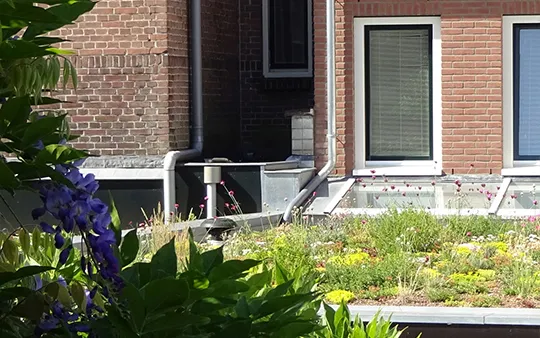 12815 fullimage 20210113 subsidieregeling groene daken