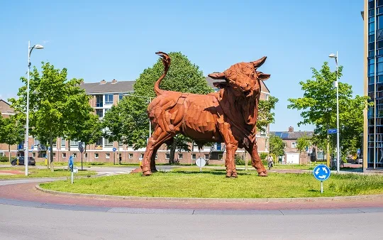 17096 fullimage web de20stier20zomer2021