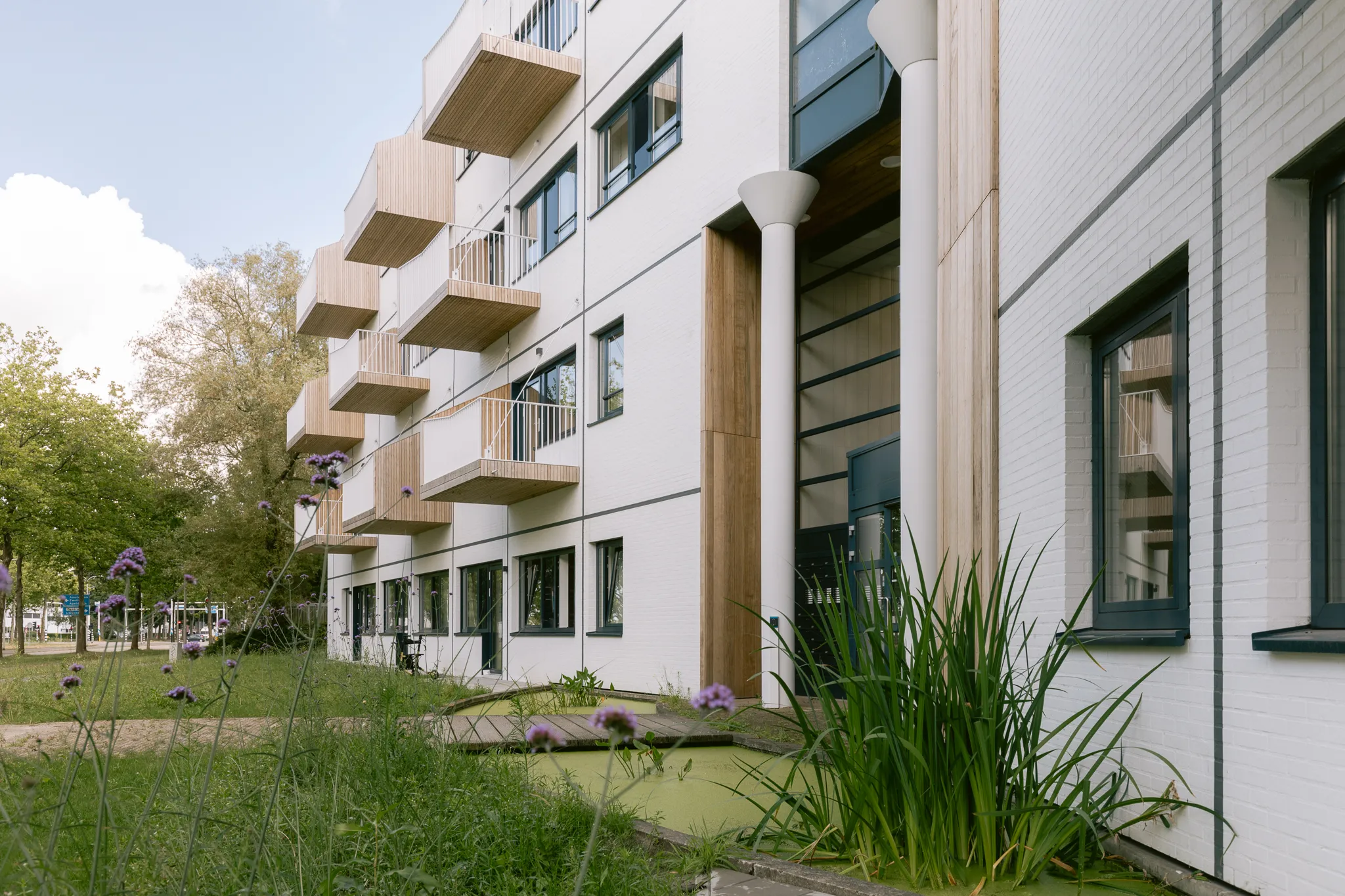 20230712 portaal jellientigelaar 4