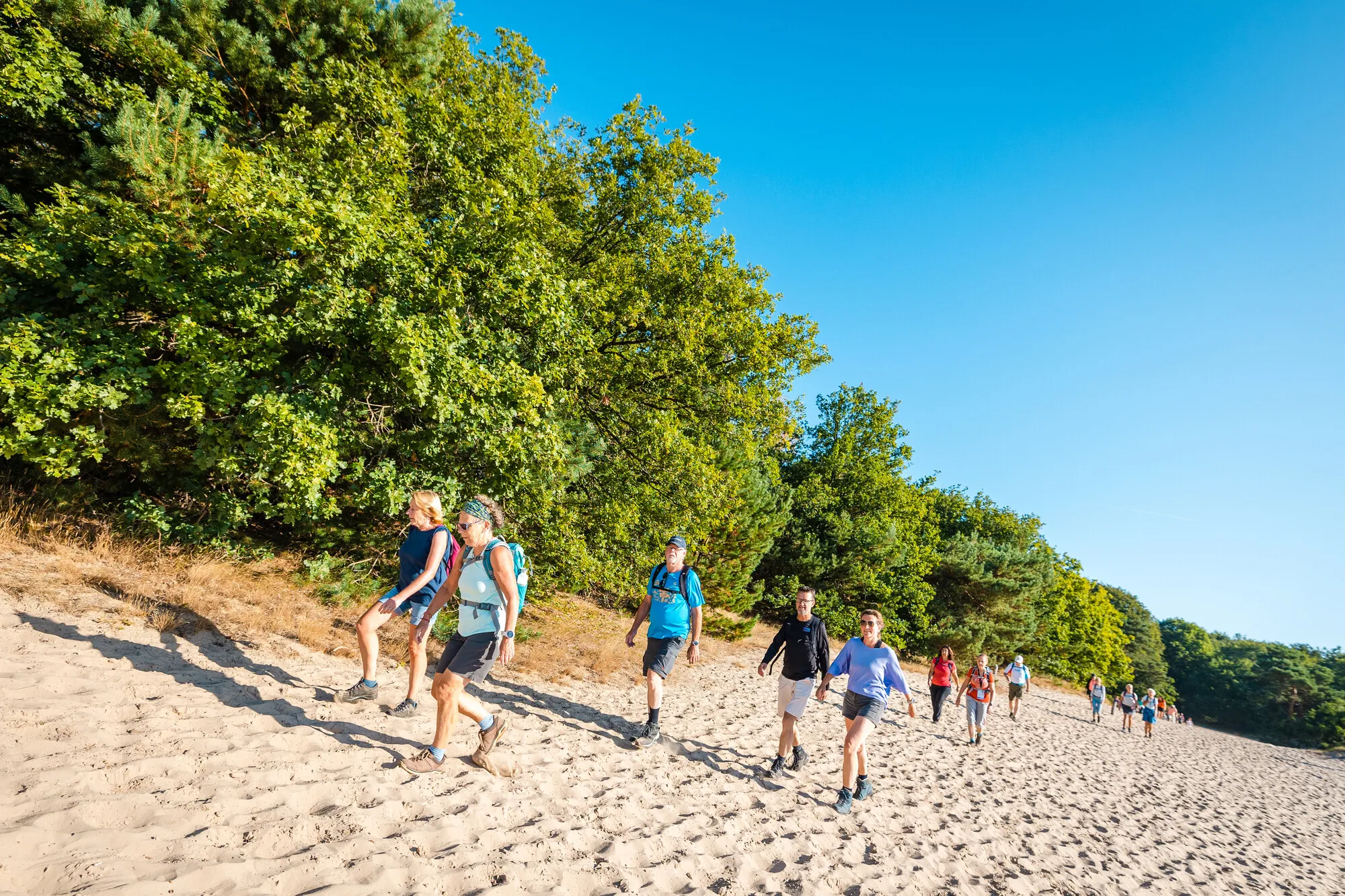 2787 6b3d20fb6bc75fcff10e0cfdd4b18454