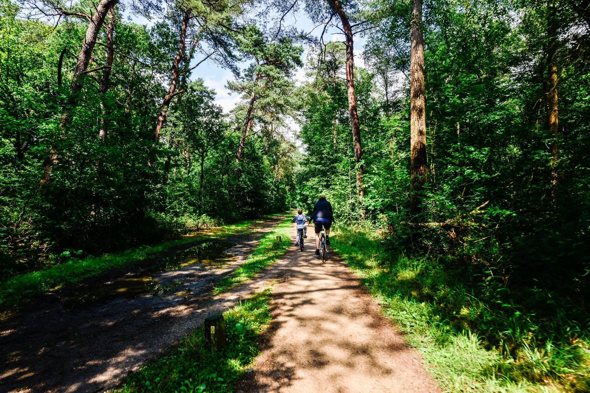 3231 76eddaf4f7ecb6f36c17324b0f9ee164