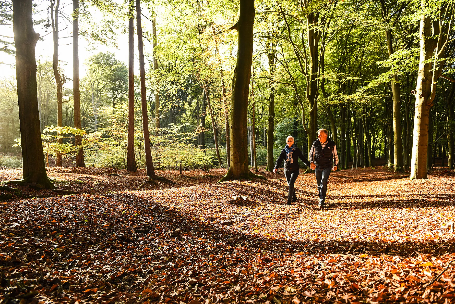 3231 b516e9f0e3dad9d0cc9e86cd51fcb576