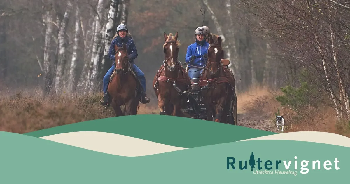 3231 f5f360d16e59ee3d75eaede969016824