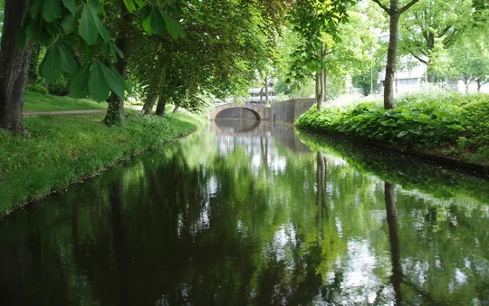 5021 fullimage flierbeeksingel