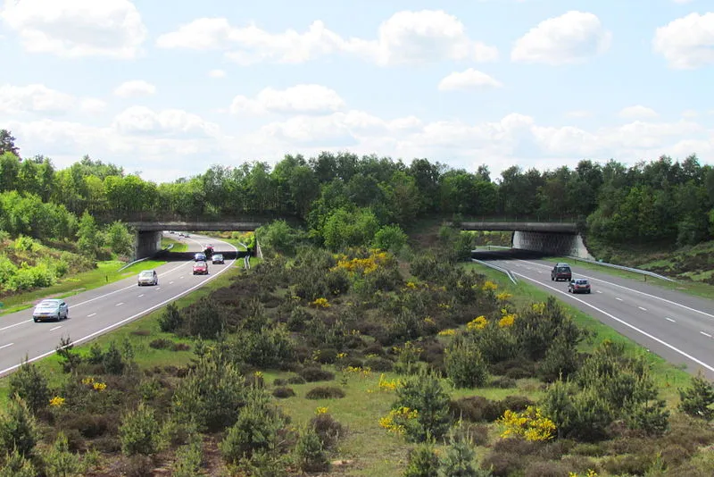 800px ecoduct harm van de veen apdency