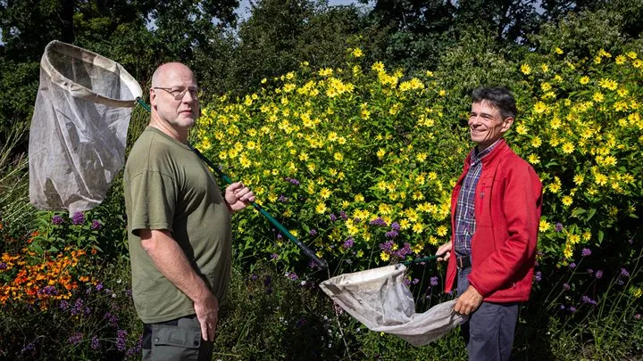 bijenonnderzoekers met schepnet bij bloemrijke vegetatie jpg