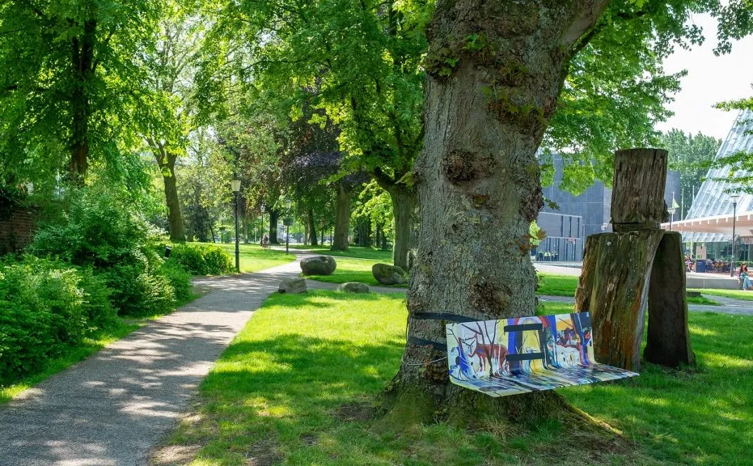 boombank in het zocherplantsoen