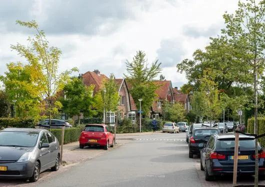borgerlaan 0