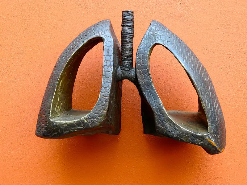 bronzen longen bert kiewiet fonteinstraat umcg