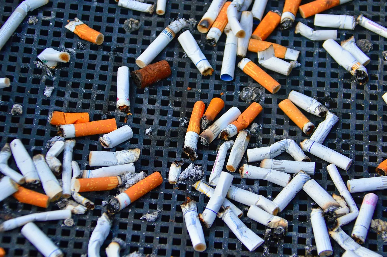 cig 3709881 1280