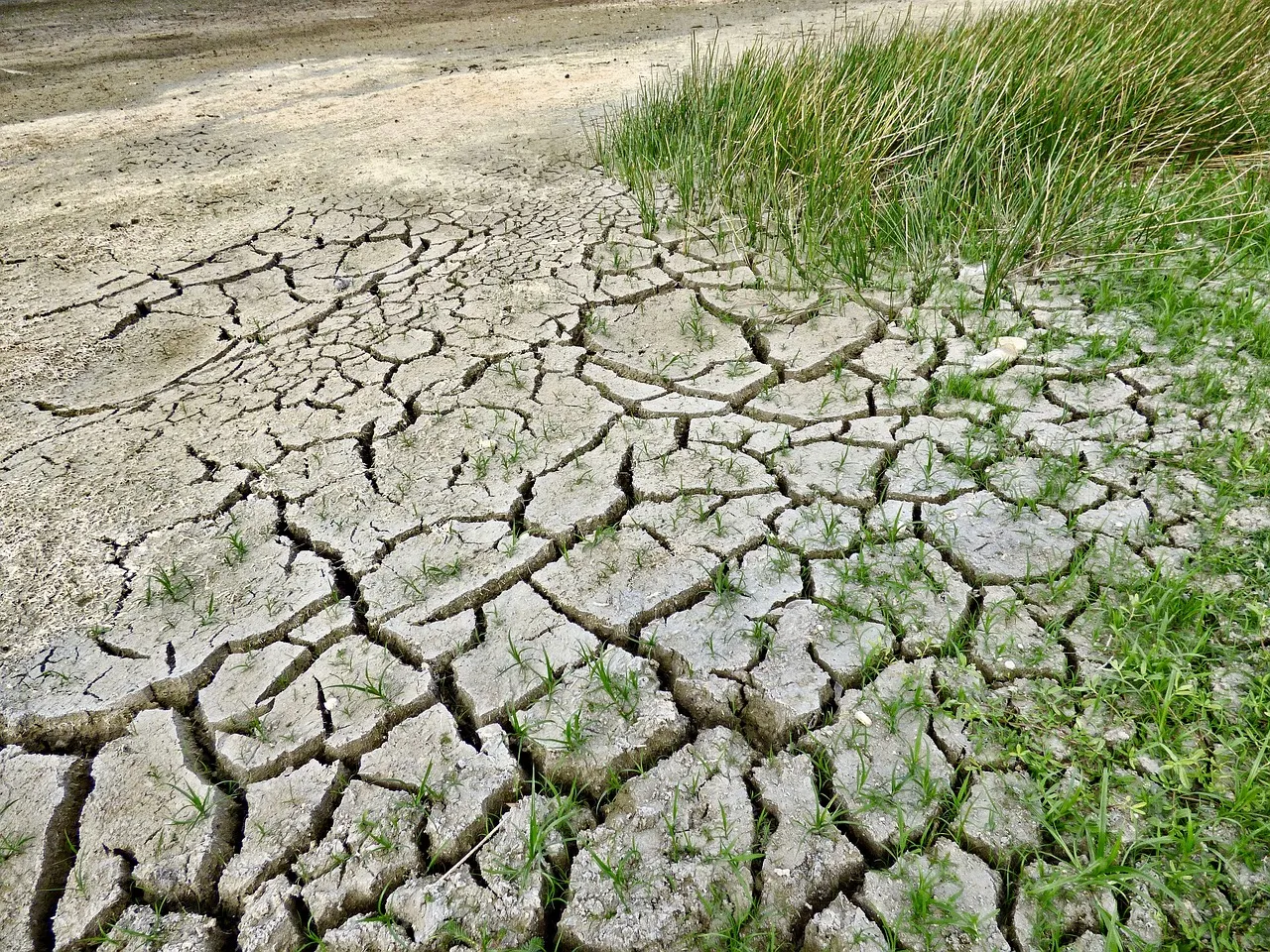climate change 2241061 1280