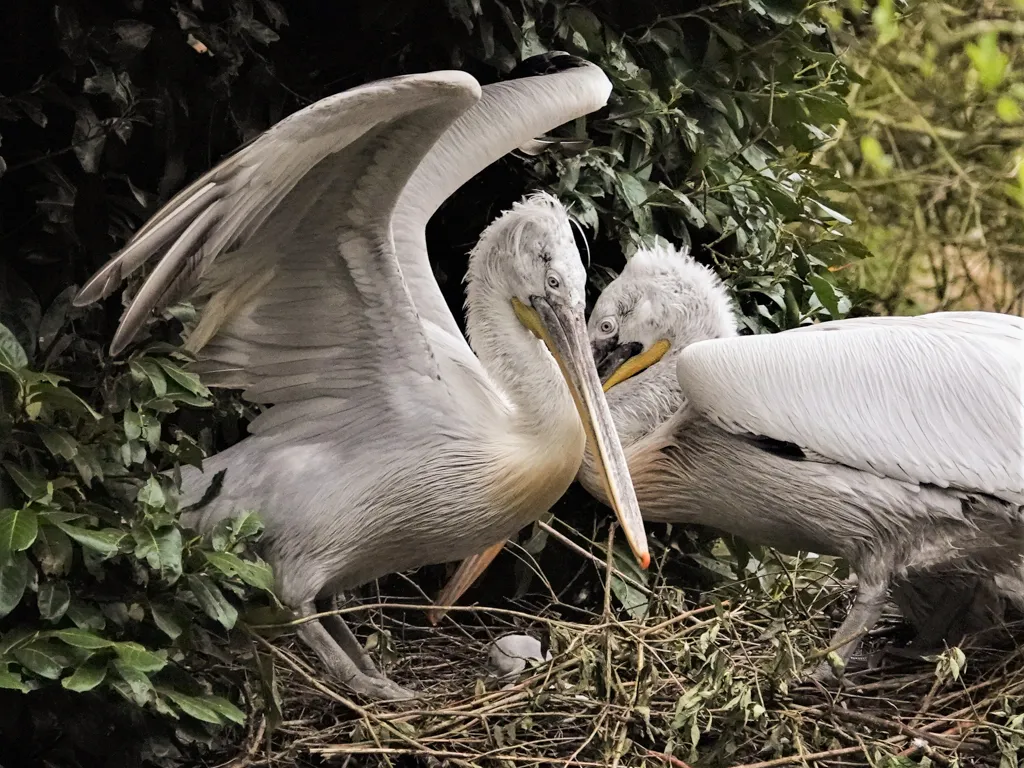 de kersverse ouders pakken de verzorgende rol perfect op