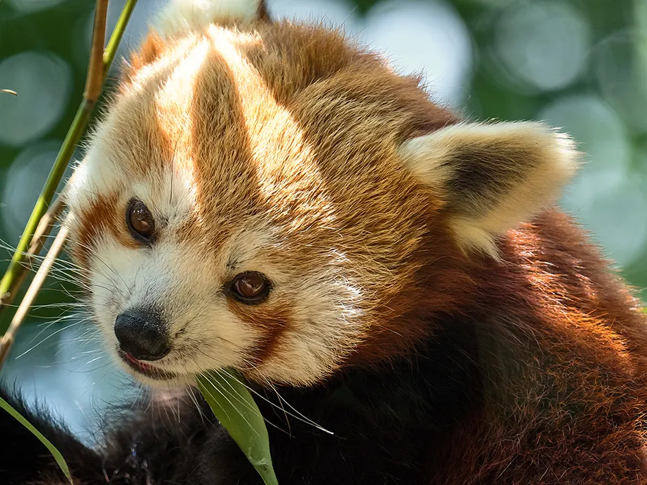 dierenpark amersfoort 2