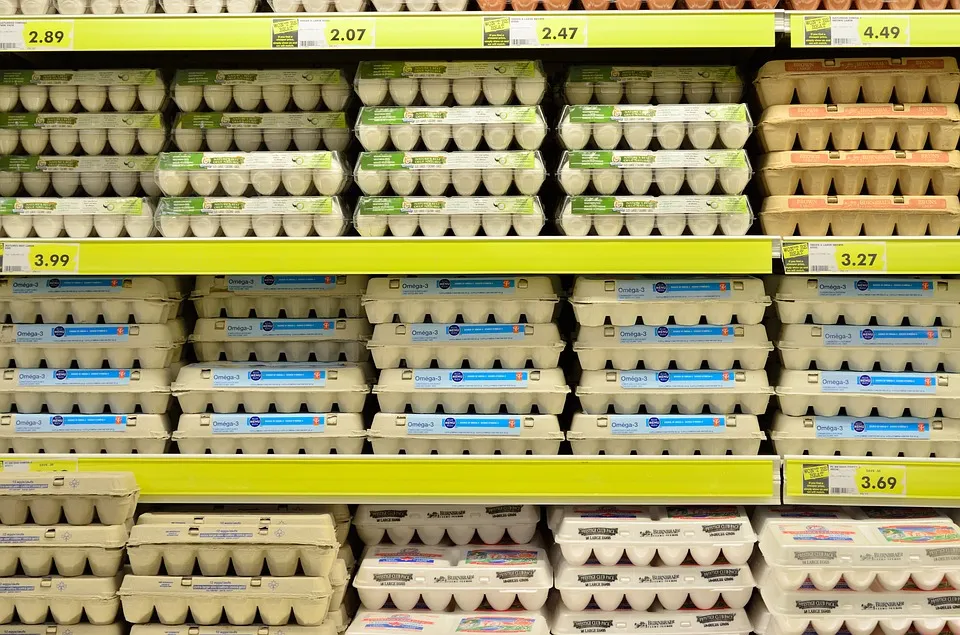 egg 1316407 960 720