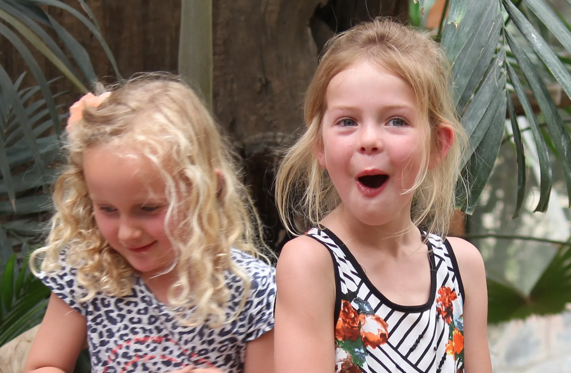 feest in dierenpark amersfoort