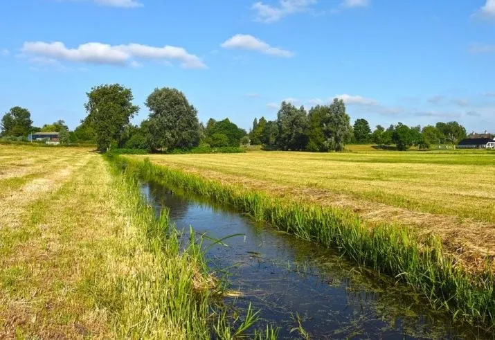 field 3483757 1280 e1532089874163