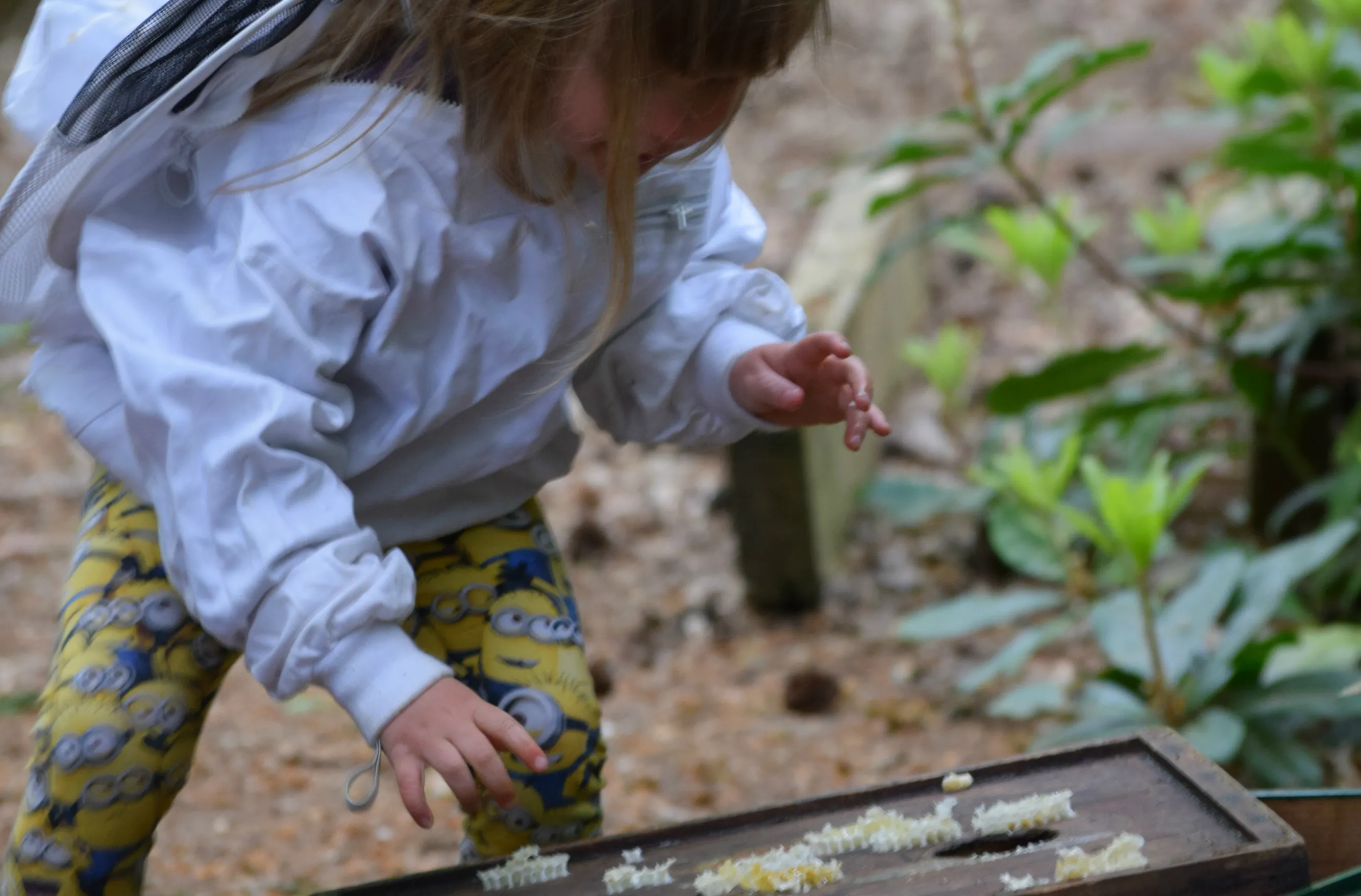foto wichert van den brink