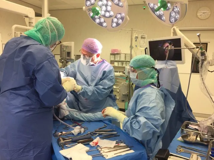 img 6870liversurgeryklein e1523645074746