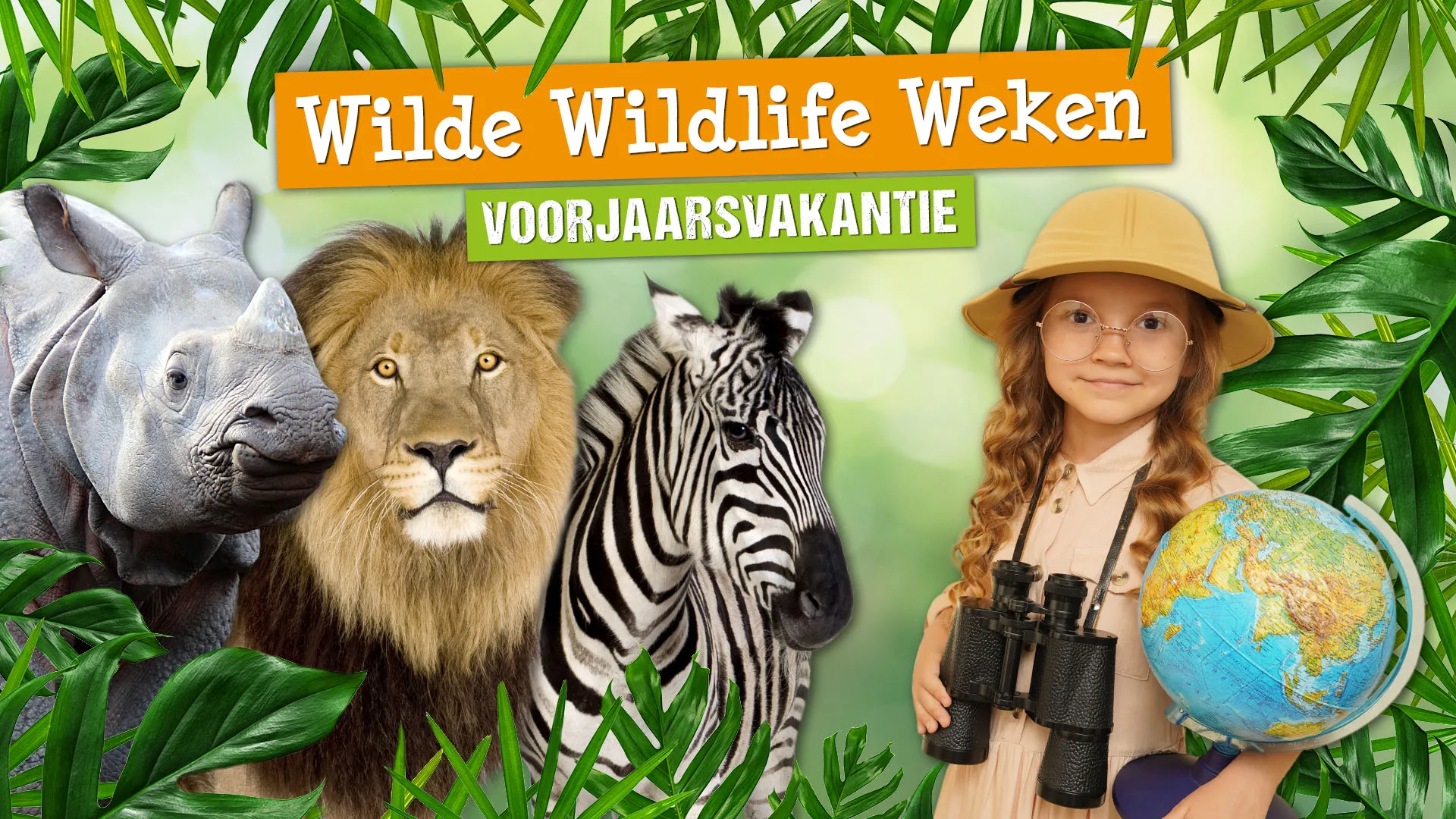 in de voorjaarsvakantie maken bezoekers van dierenpark amersfoort kennis met een nieuw programma de wilde wildlife weken