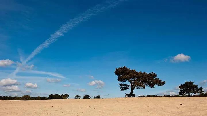 lange en korte duinen
