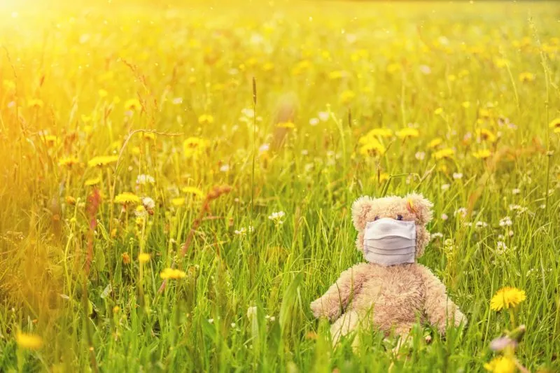 meadow 5148410 1920 e1609839623115