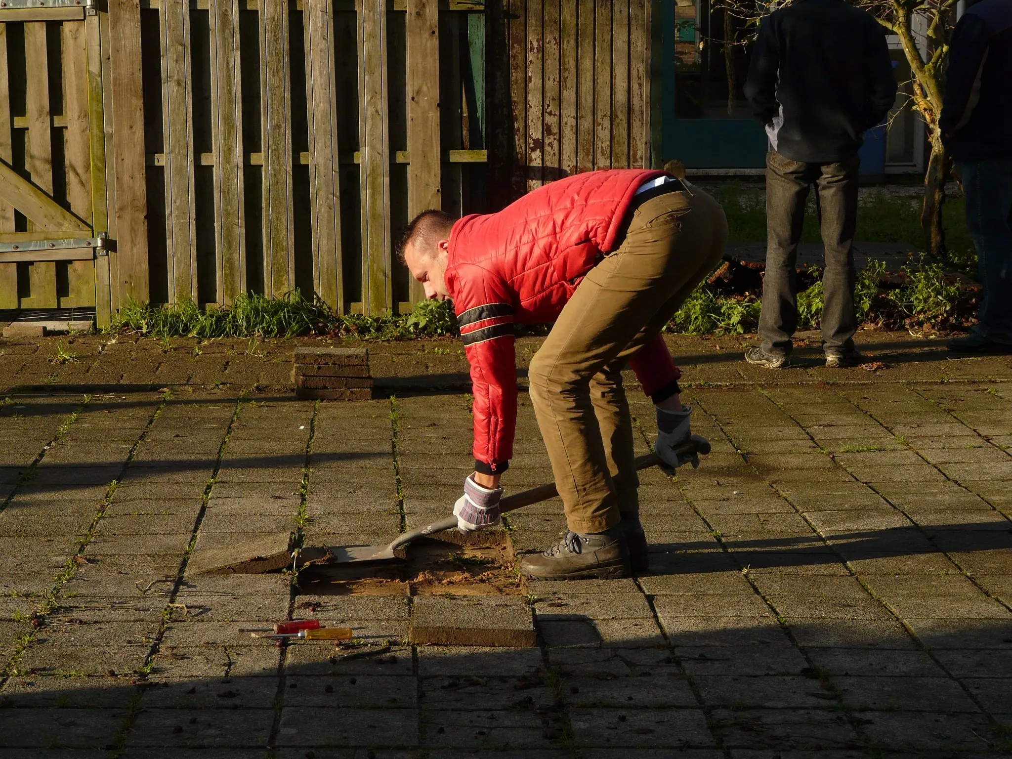 meeuwentuin eerste tegel